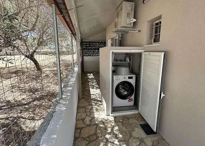 Willa Nicole Katarrakhion